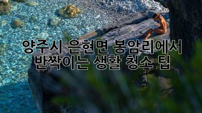 양주시 은현면 봉암리에서 ✨반짝이는✨ 생활 청소 팁!